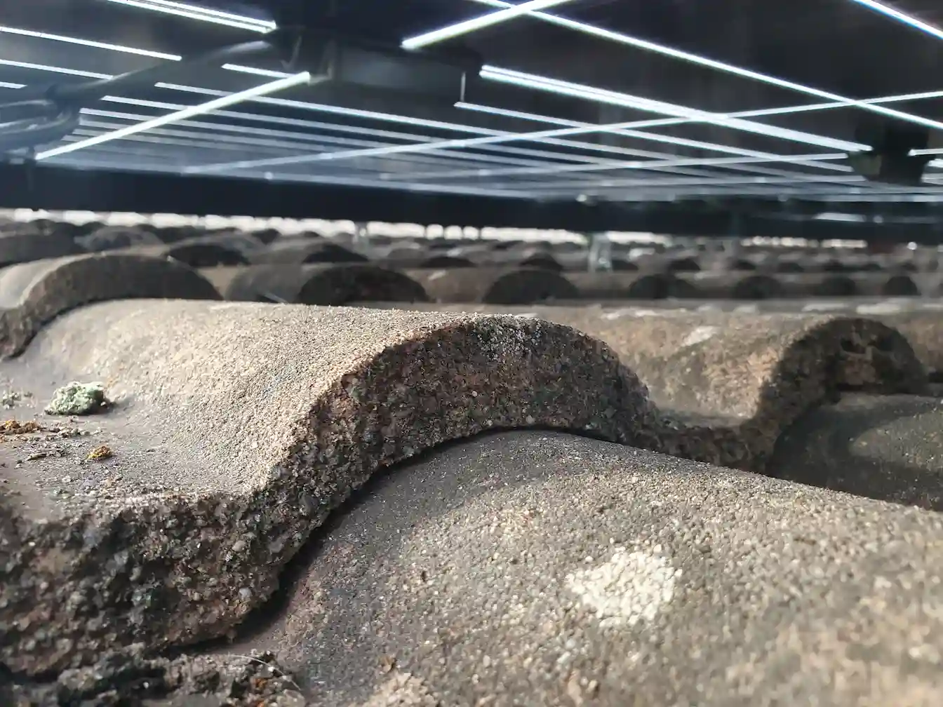 Fachmännische Arbeit in Region Aachen